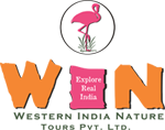 India Tours