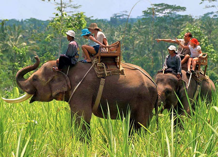 Kerala Nature and Wildlife Tour